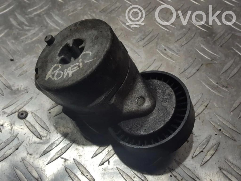 Rover 75 Întinzător curea generator/alternator 