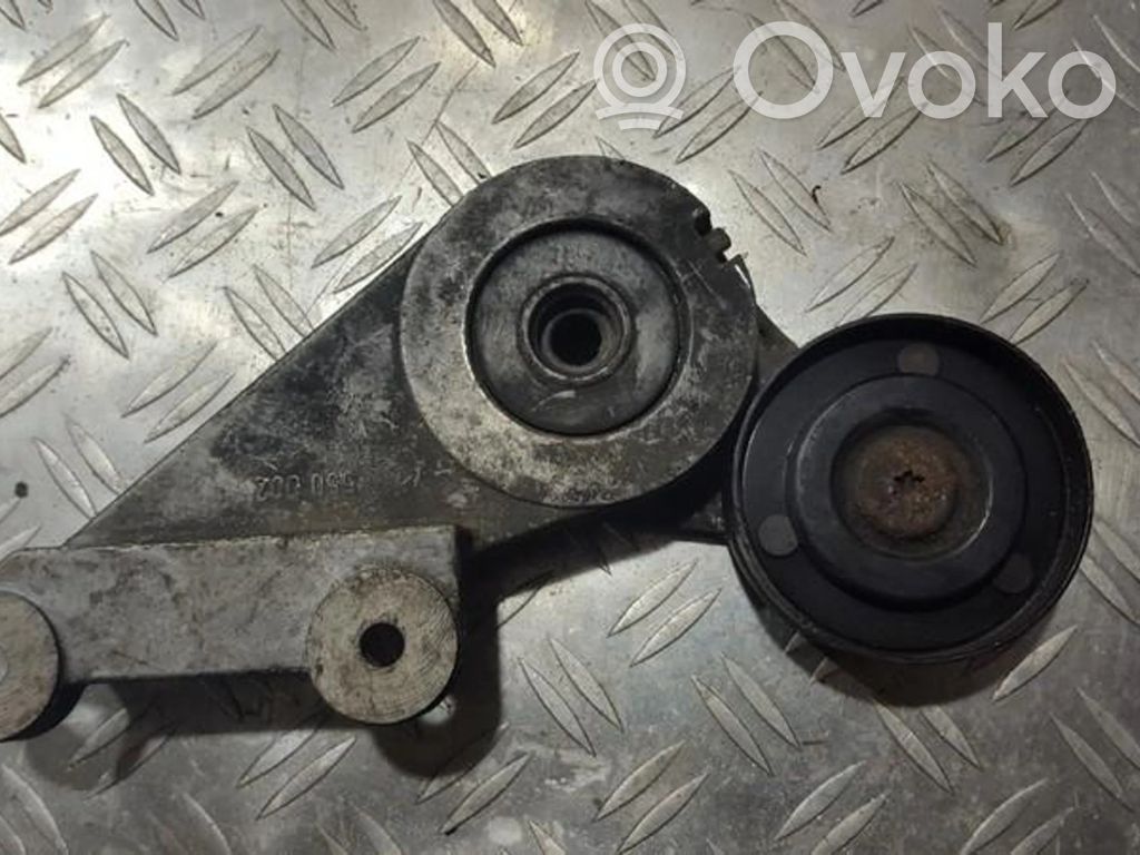 Volvo 850 Tendicinghia generatore/alternatore 