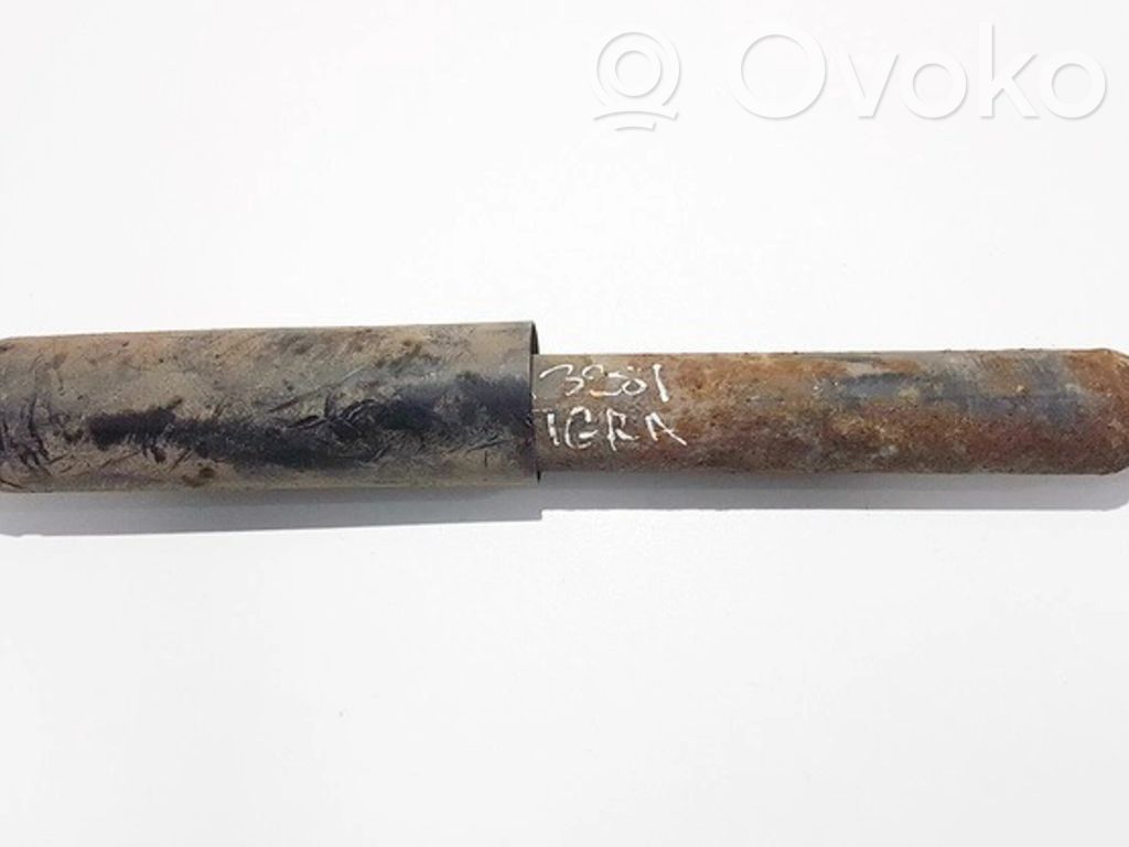 Stoßdämpfer hinten