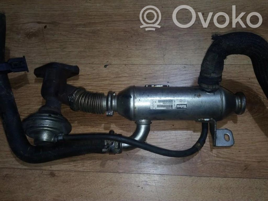 Peugeot 406 Valvola di raffreddamento EGR 