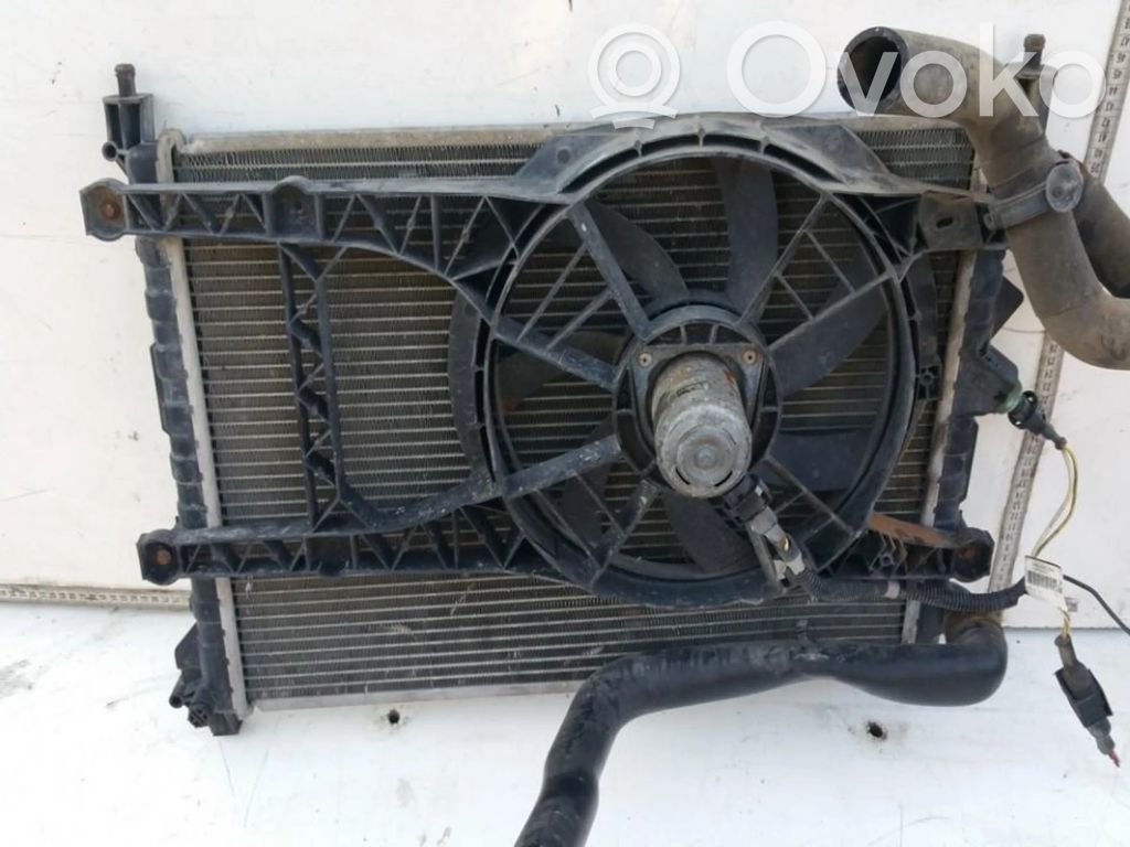 Radiatore di raffreddamento   834180R,834180R