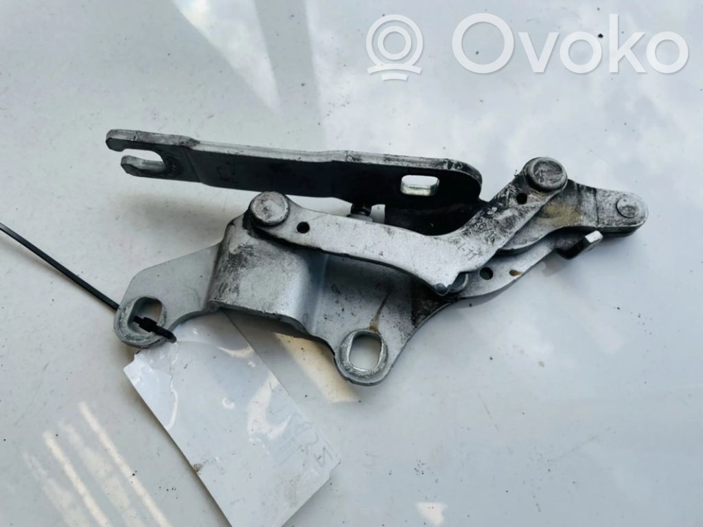 BMW 3 F30 F35 F31 Cerniere del vano motore/cofano 