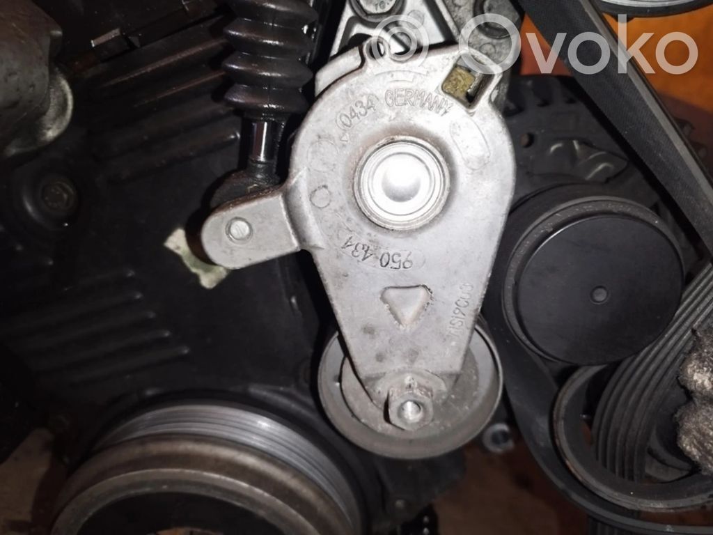 Napinacz paska alternatora   950434,950434
