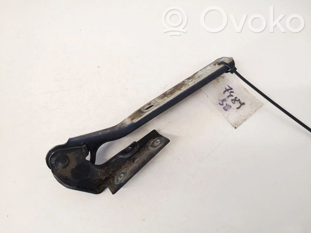 Volkswagen PASSAT B5 Cerniere del vano motore/cofano 