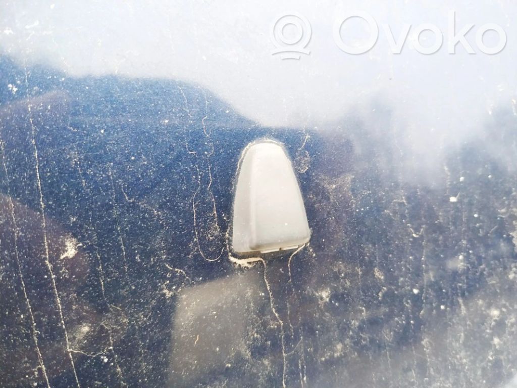 Windshield washer spray nozzle