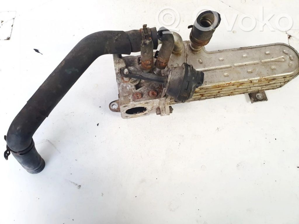 Volkswagen Golf V Valvola di raffreddamento EGR