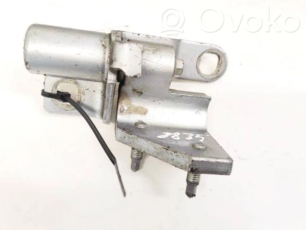 Bisagra del maletero/compartimento de carga   C8Q8A,A046575,A046575,C8Q8A