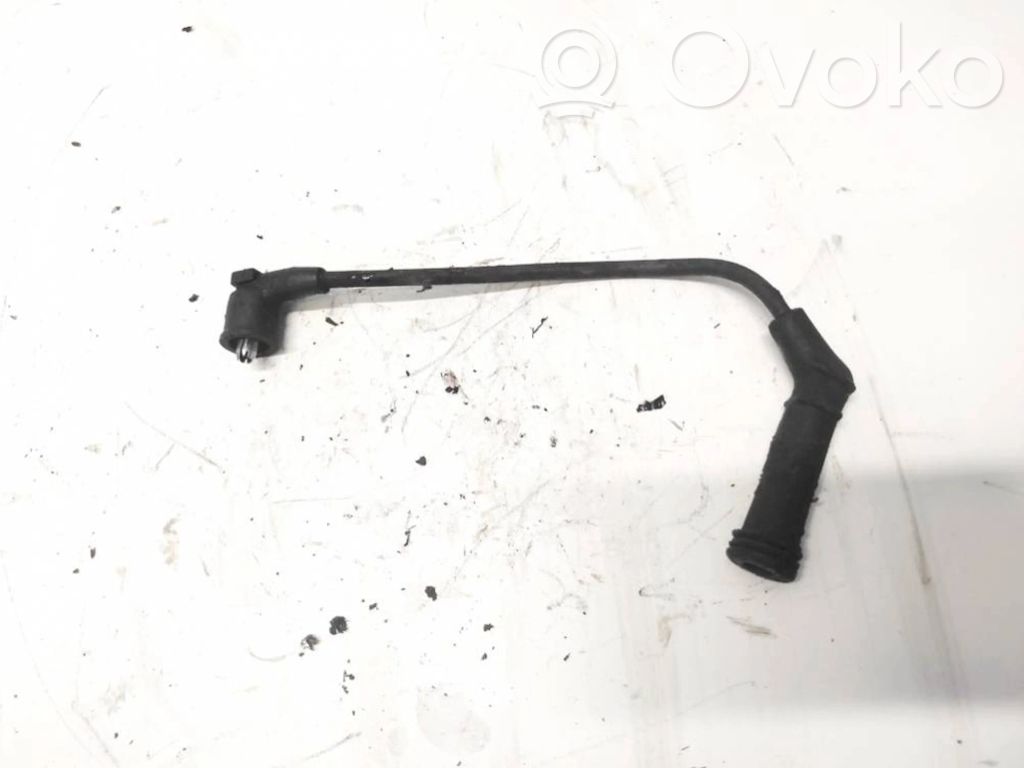 Ignition plug leads