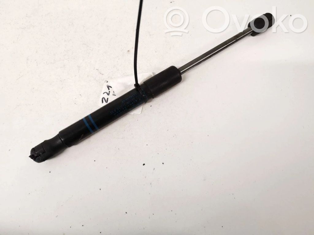 BMW 1 F20 F21 Amortizor capotă motor 