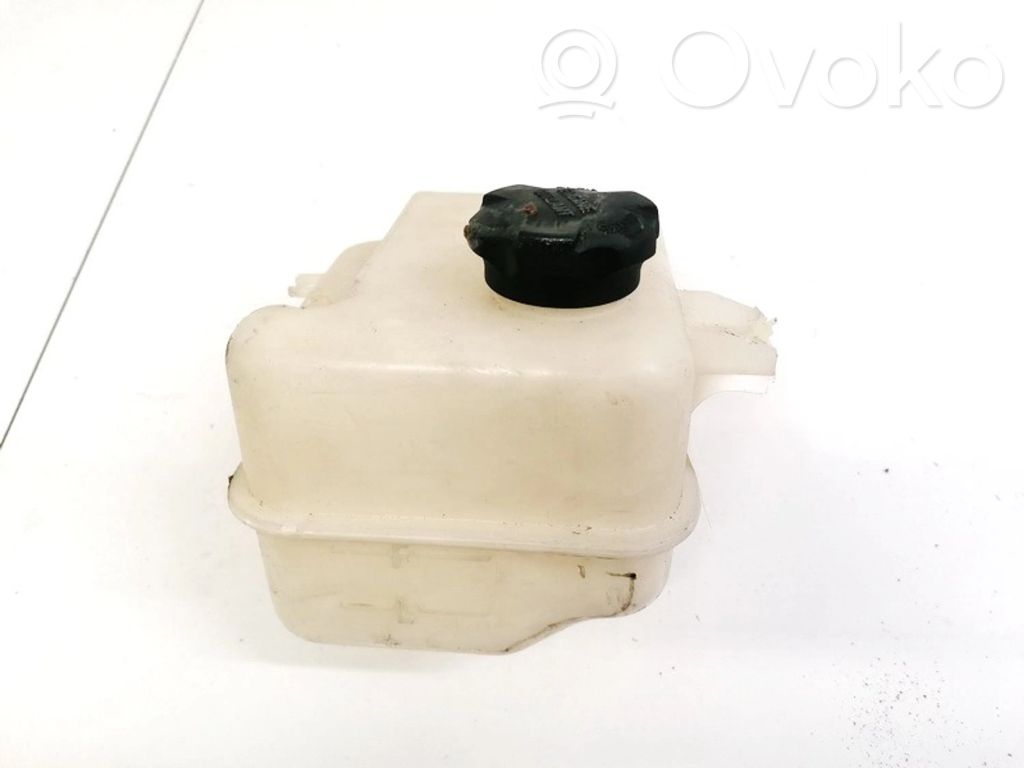 Hyundai ix35 Serbatoio di compensazione del liquido refrigerante/vaschetta 