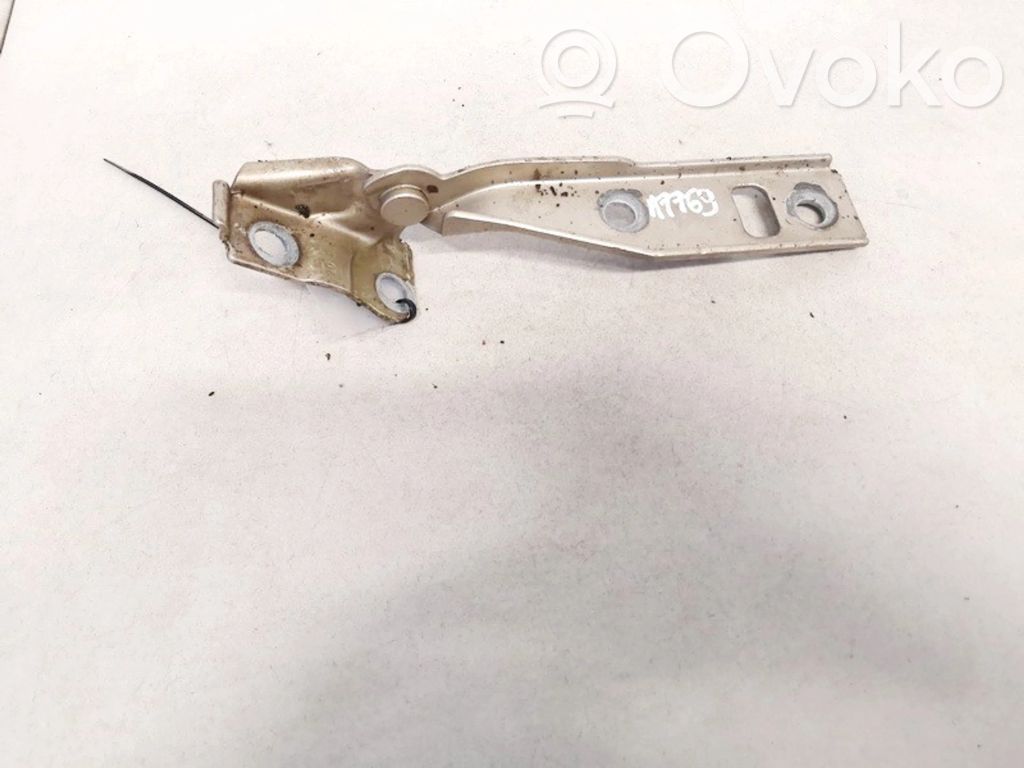 Volkswagen PASSAT B4 Cerniere del vano motore/cofano