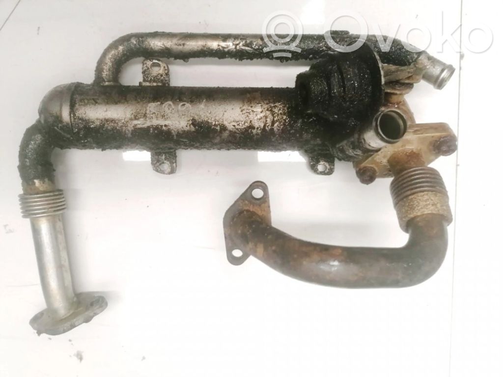 Volkswagen Golf V Refroidisseur de vanne EGR 