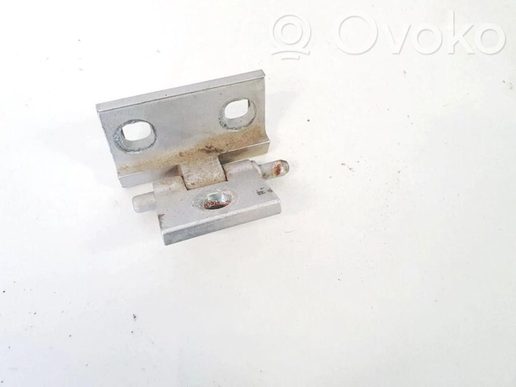 Rear door lower hinge