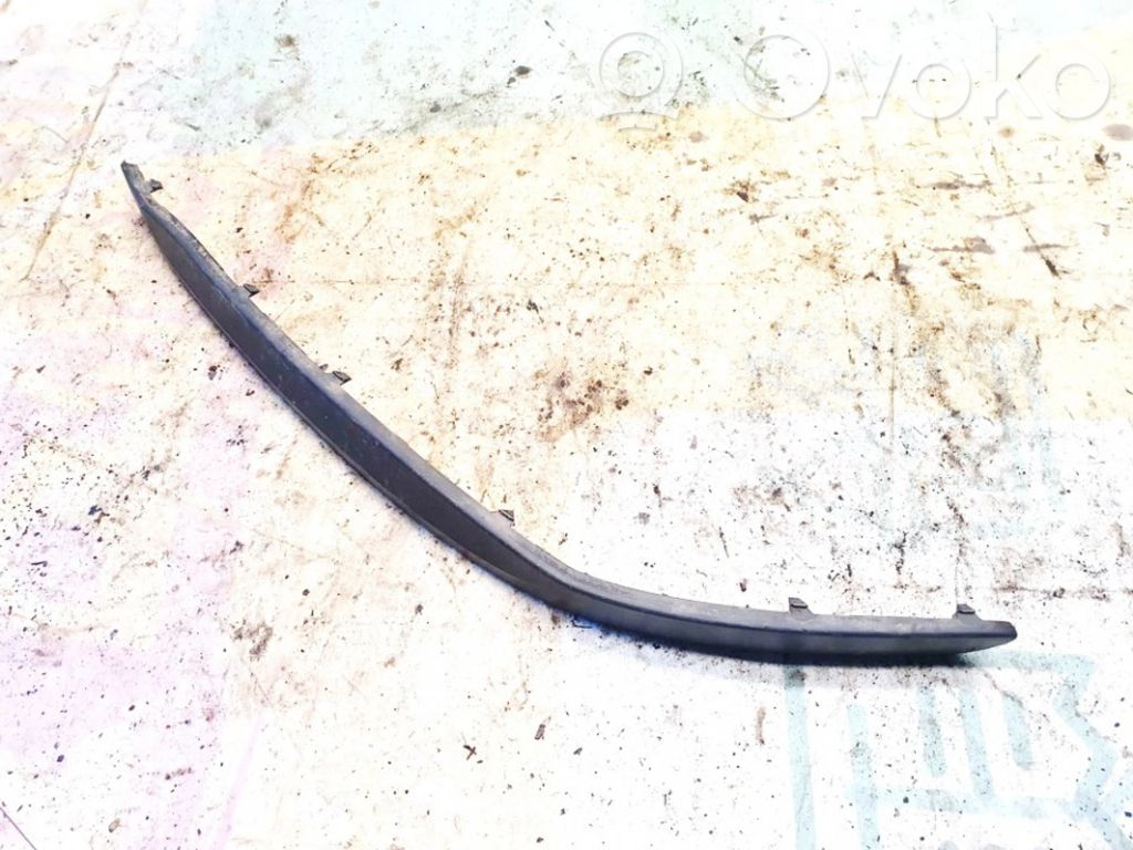Skoda Octavia Mk2 (1Z) Modanatura separatore del paraurti anteriore