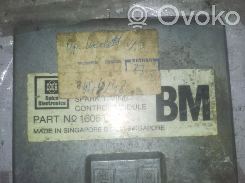 Other control units/modules   16061100,16061100