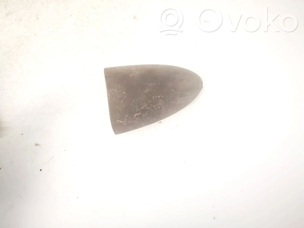 Tapa/cubierta de puerta de carga   XS41A218B08,XS41A218B08,XS41A218B08,XS41A218B08