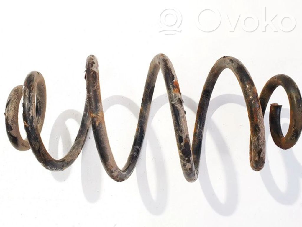 Rear coil spring