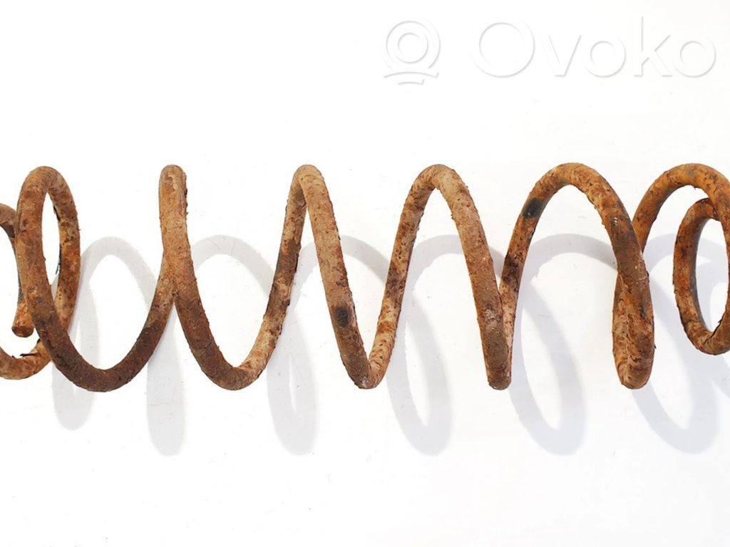 Muelle espiral trasero