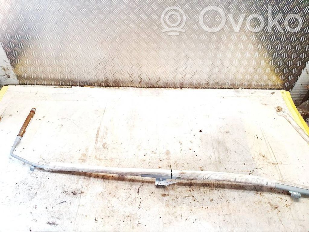 Skoda Octavia Mk2 (1Z) Airbag de toit