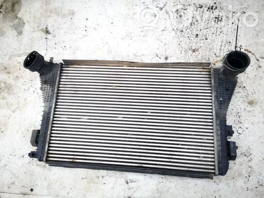 Skoda Octavia Mk2 (1Z) Radiatore intercooler