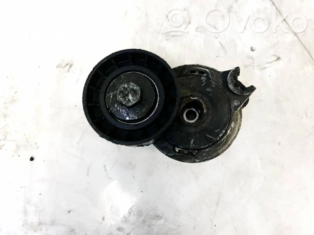Tensor de correa del alternador   TF155,TF155,TF155