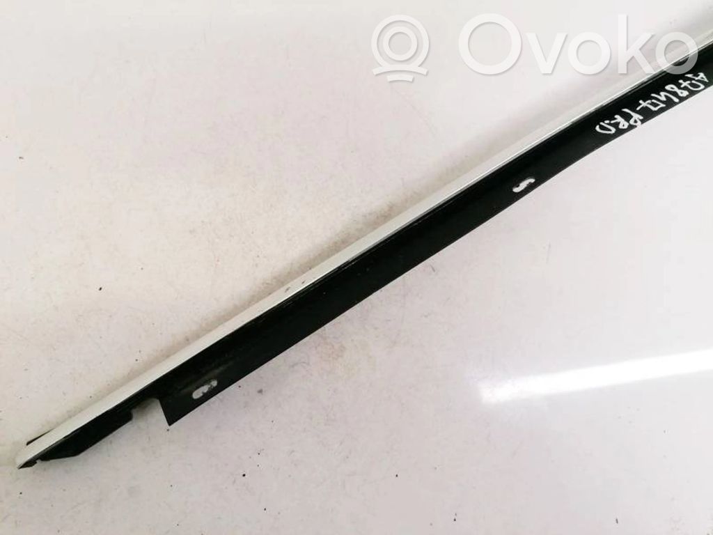 Audi A6 S6 C6 4F Verkleidung Türfenster Türscheibe vorne