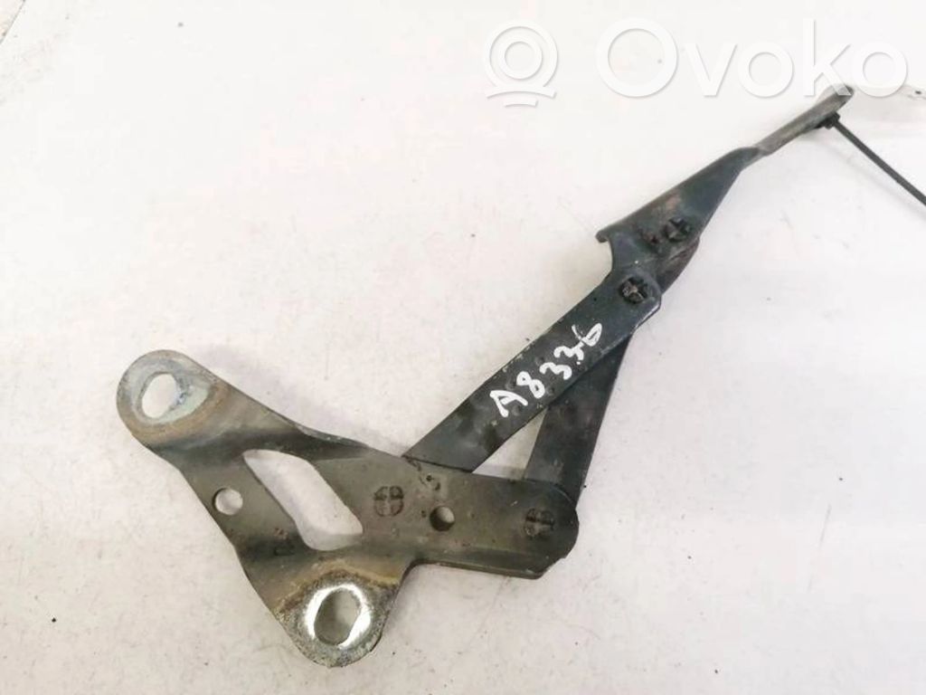 Volkswagen Sharan Balamale capotă 