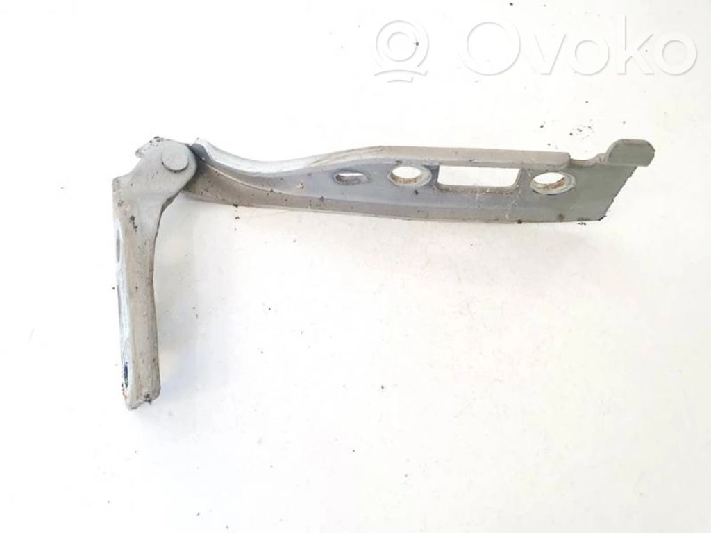Ford Fusion Balamale capotă 