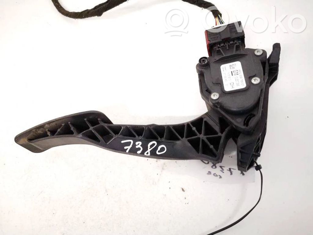 Gaspedal   13237356,6PV00976501,13237356,6PV00976501