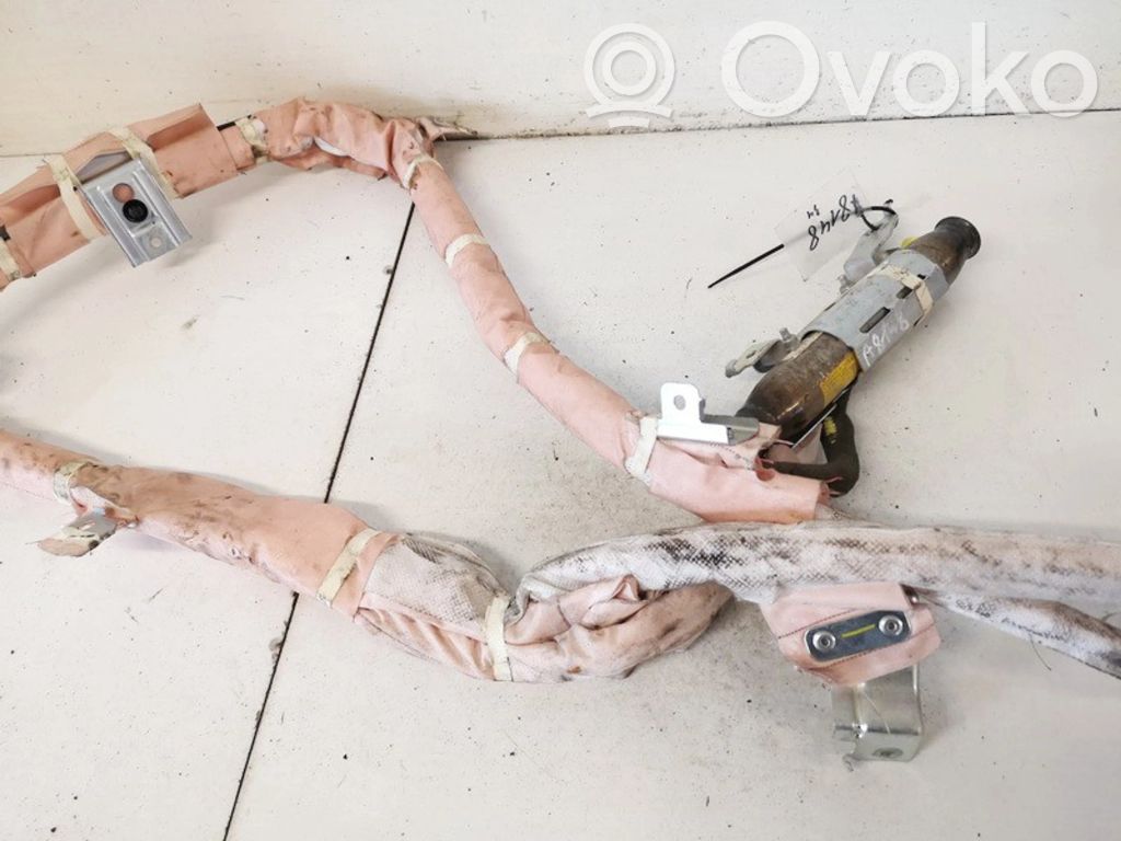 Airbag del techo   1025484,1025484