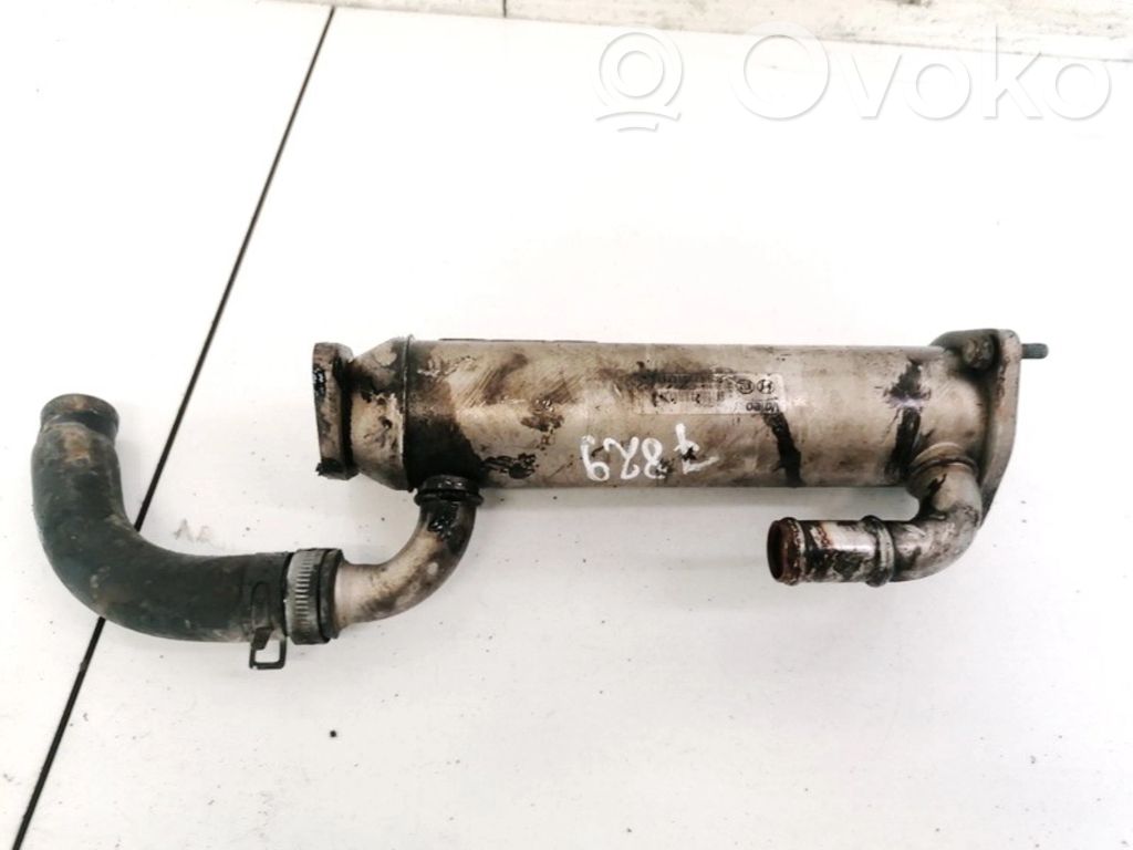 Hyundai Sonata Răcitor supapă EGR 
