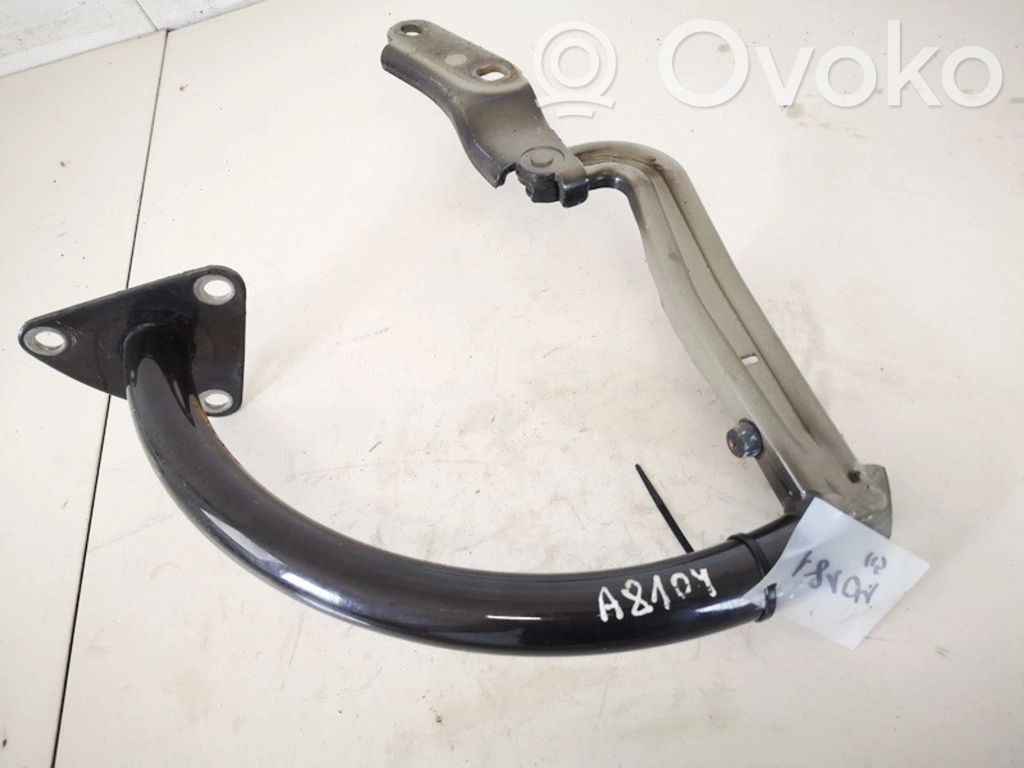 Volkswagen PASSAT B6 Cerniera portellone posteriore/bagagliaio