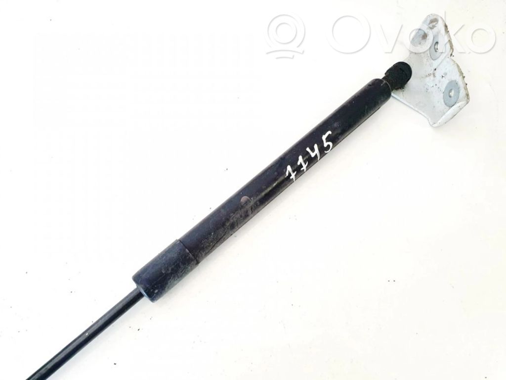 Renault Zoe Tailgate/trunk strut/damper 