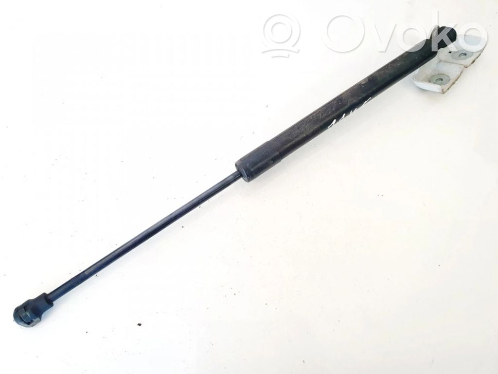 Renault Zoe Tailgate/trunk strut/damper 