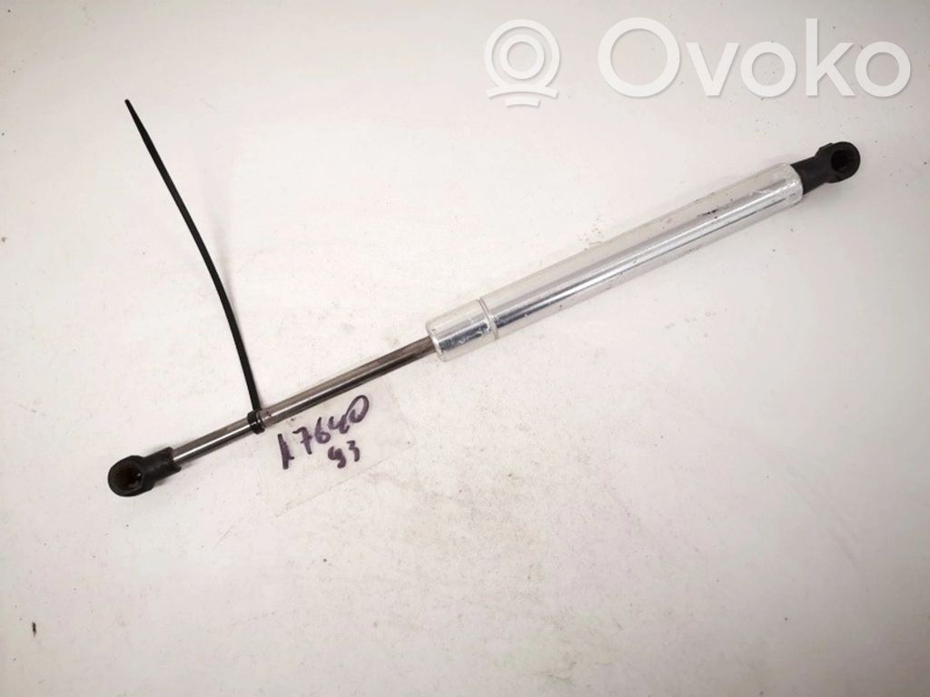 Volkswagen Phaeton Ammortizzatore portellone anteriore/cofano 