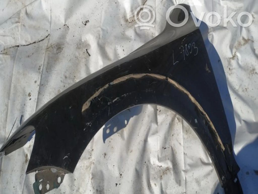 Volkswagen Touareg I Parafango 