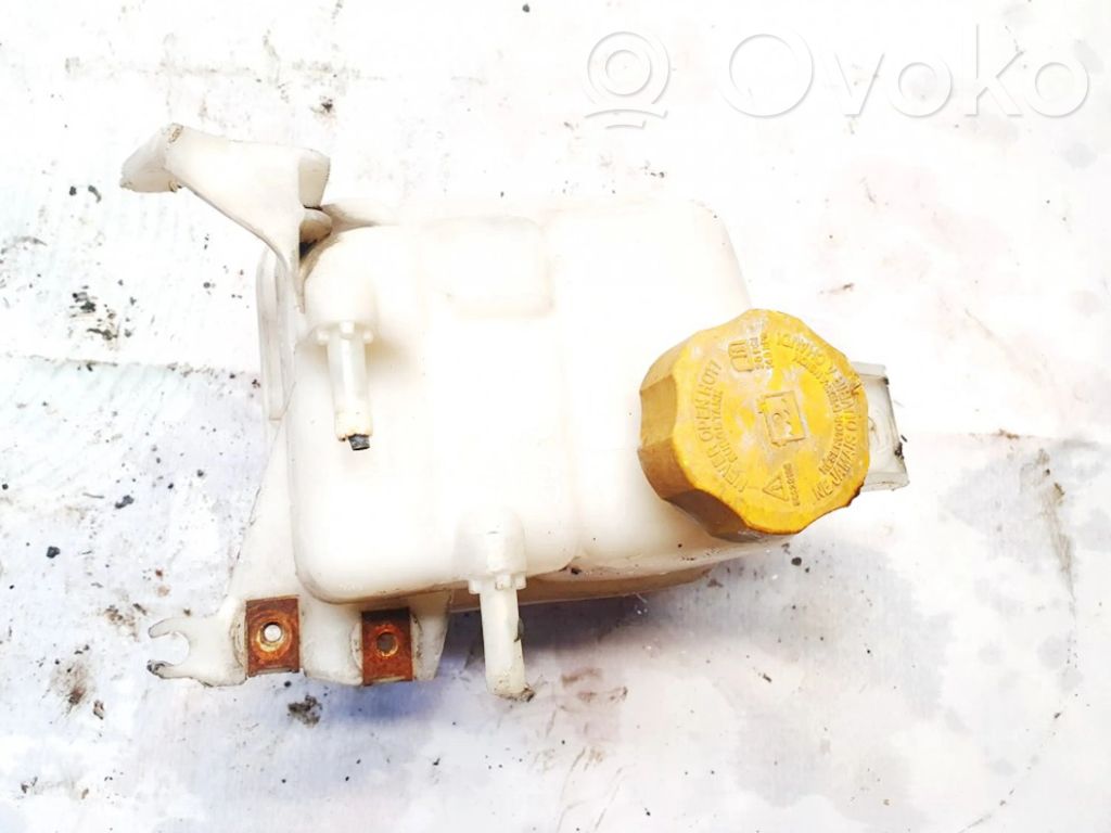 Chevrolet Captiva Serbatoio di compensazione del liquido refrigerante/vaschetta 