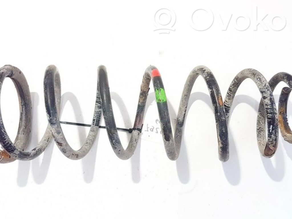 Muelle espiral trasero