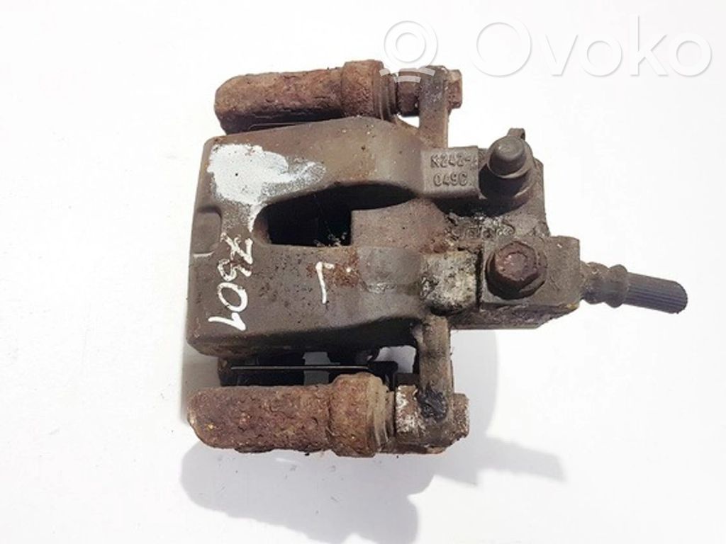 Takajarrusatula   K242049C,K242049C,K242049C,K242049C