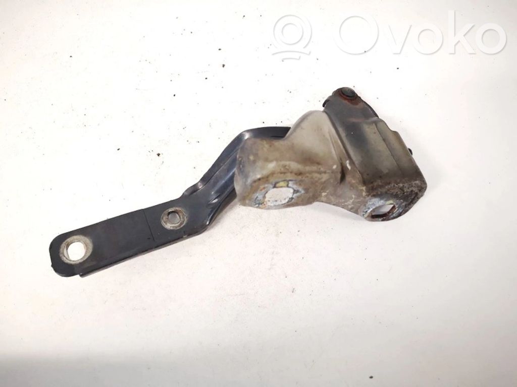 Charnière, capot moteur   C513,C513