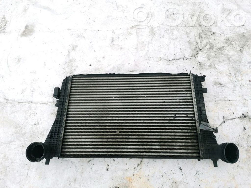 Volkswagen PASSAT B6 Radiatore intercooler 