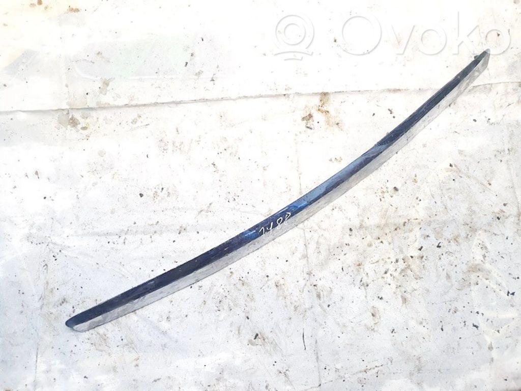 Ford Focus Cita veida ārēja detaļa 