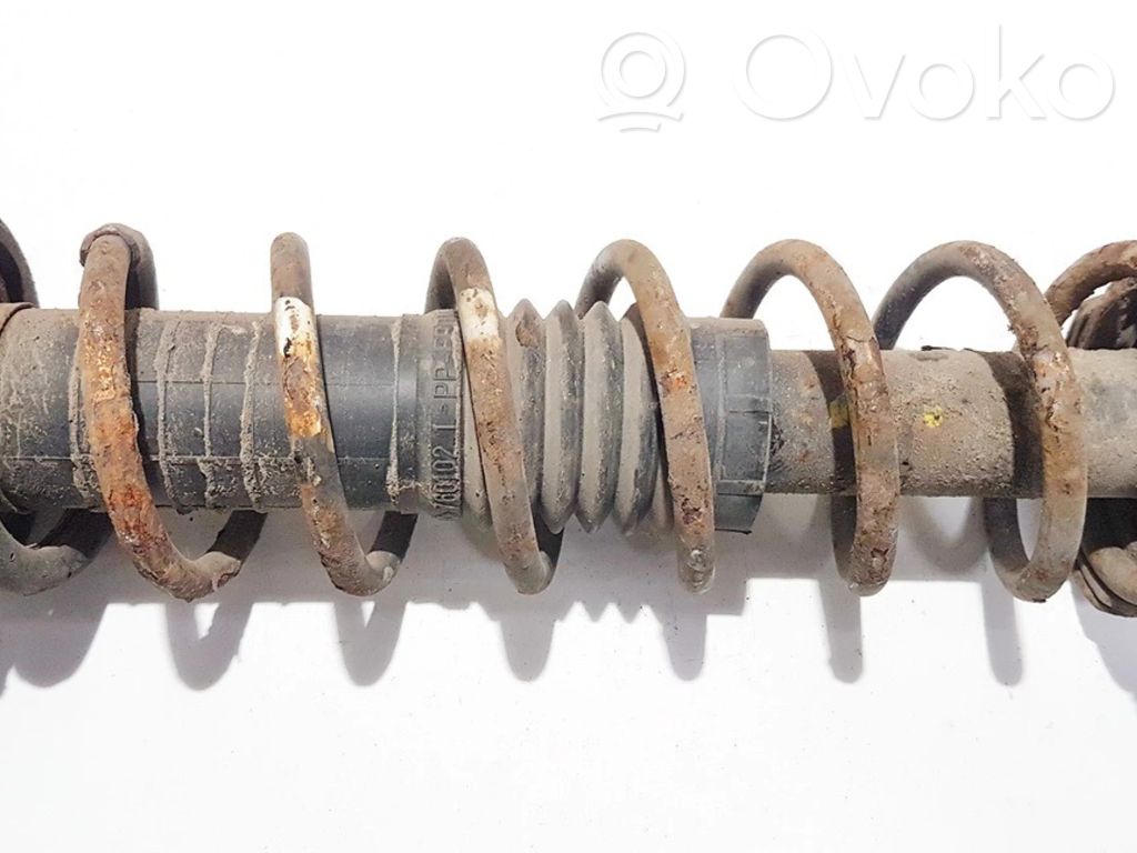 Muelle espiral trasero
