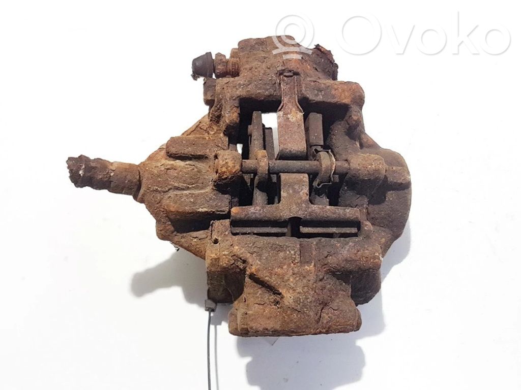 Takajarrusatula   36278,36278