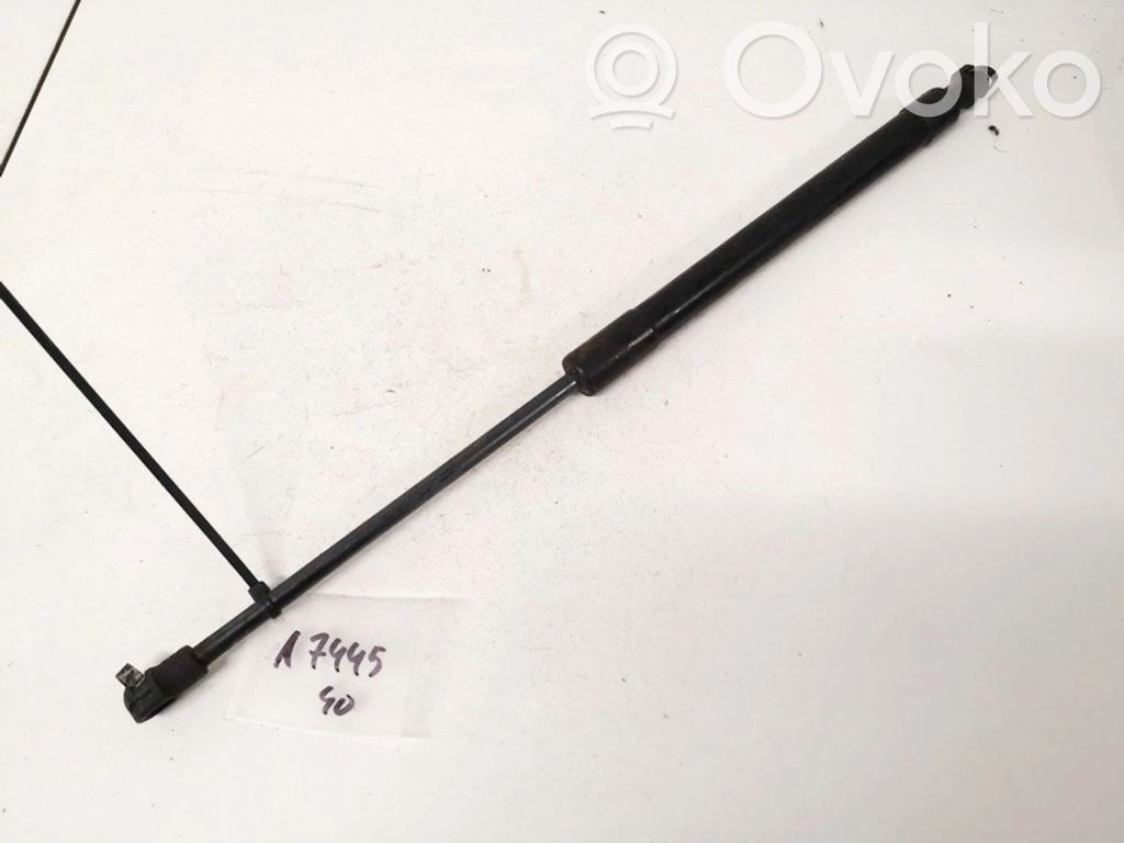 Chevrolet Epica Amortizor capotă motor 