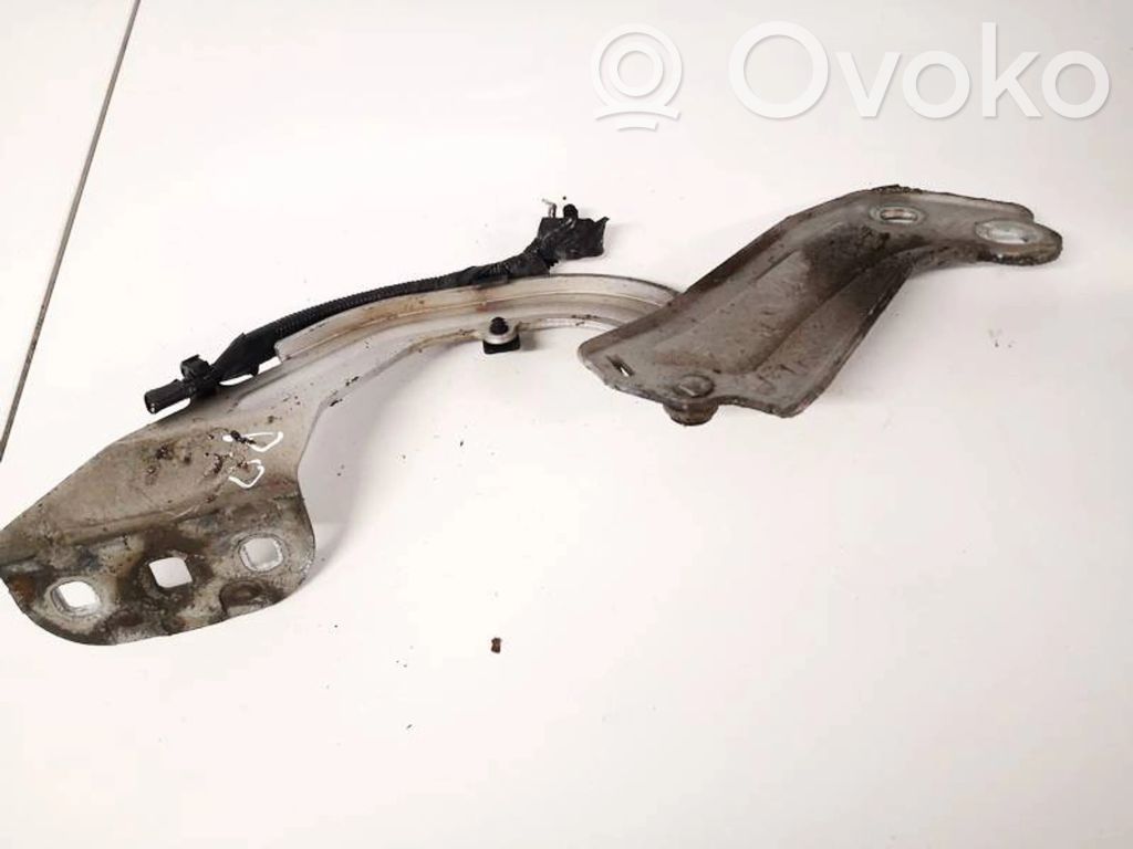 Engine bonnet/hood hinges