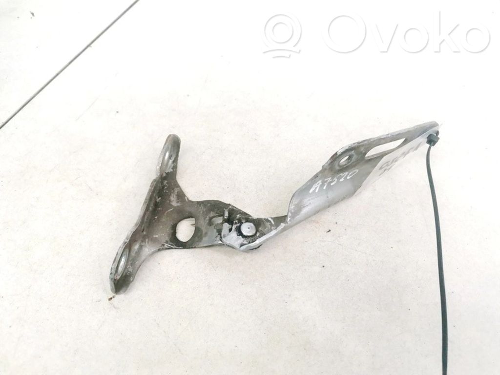 Charnière, capot moteur