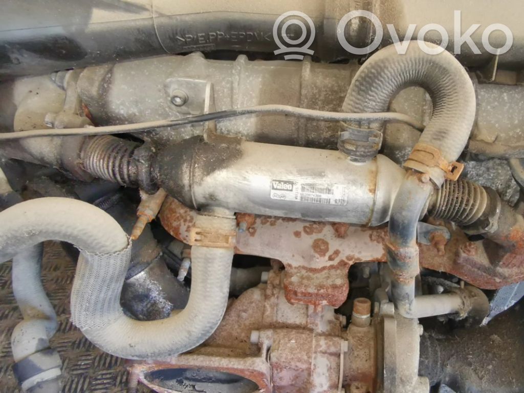 Peugeot 307 Răcitor supapă EGR 