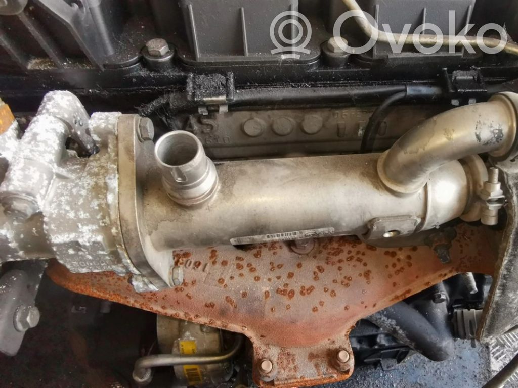 Peugeot 407 Răcitor supapă EGR 
