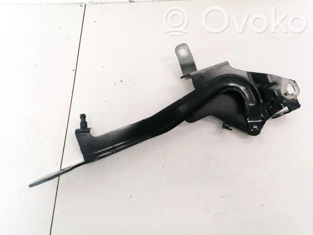Renault Scenic III -  Grand scenic III Cerniere del vano motore/cofano 